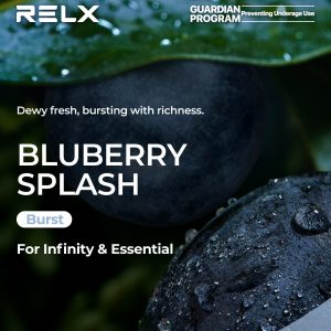 Relx Pod Pro Blueberry Splash 3% Nicotine (Imported)