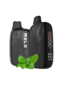 Relx Nova 22000 Puffs Disposable Double Mint (Imported)